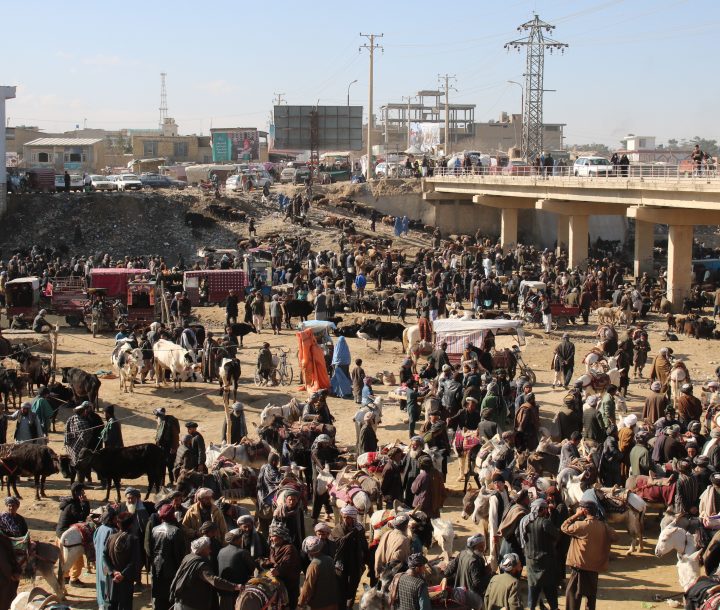 A photograph of a bustling market in North Afghanistan, where community people sell their animals. People gather here once a week.